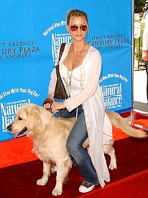 DOGSITTING   photo | Nicollette Sheridan