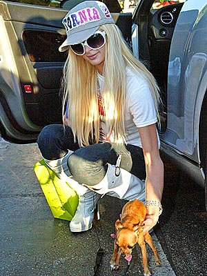 TINKERBELL UNLEASHED  photo | Paris Hilton