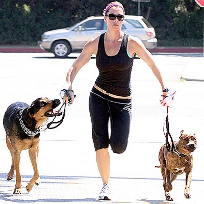 Labels Jessica Biel and her large body guards dogs