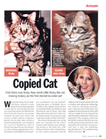 Copied Cat