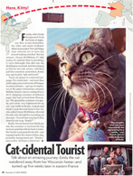 Cat-Cidental Tourist