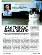 Can This Cat Smell Death?