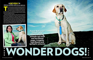 Wonder Dogs!
