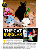The Cat Burglar