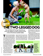 Meet Faith the Two-Legged Dog
