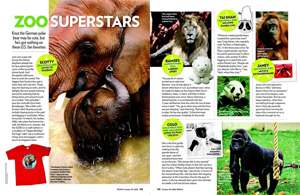 Zoo Superstars