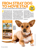 From Stray Dog to Movie Star