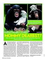 Mommy Dearest?