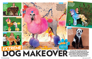 Extreme Dog Makeover