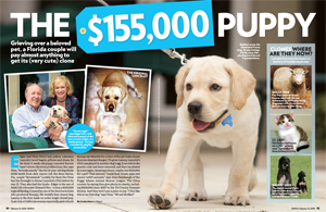 The $155,000 Puppy