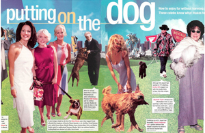 Putting on the Dog