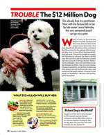 Trouble: The $12 Million Dog