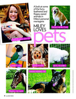 Miley Loves Pets