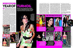 Amy Winehouse's Year of Turmoil