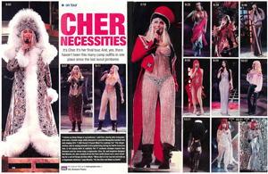 Cher Necessities