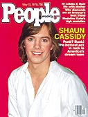 A Teen Dream