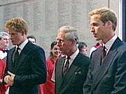Prince+william+and+harry+at+diana