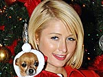 Holly Jolly Hollywood | Paris Hilton
