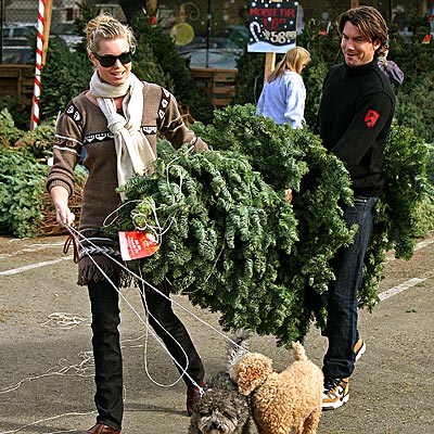 Holly Jolly Hollywood - PINING ...