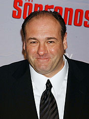 Grey's, Sopranos Score Emmy Nominations| Emmy Awards, Katherine Heigl, Vanessa Williams, Actor Class