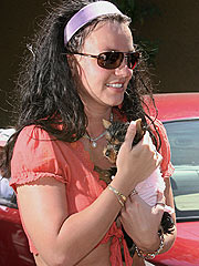 Britney Spears Buys a New Dog