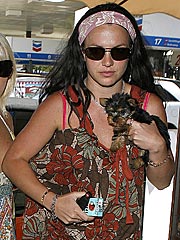 Britney Spears Cleared in Dog-Care Case | Britney Spears
