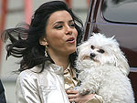 Beauties & Their Beasts | Eva Longoria-Parker