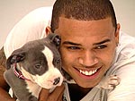 Chris Brown | Chris Brown