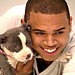 Chris Brown | Chris Brown
