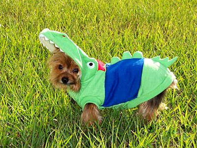 Gator Costume