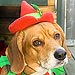 Santa Pets! Your Cats and Dogs in Holiday Style