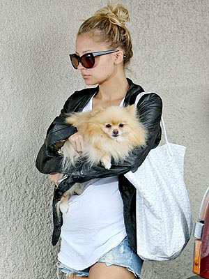 Fans of Newlyweds know how much Simpson adores her Maltipoo, Daisy, 