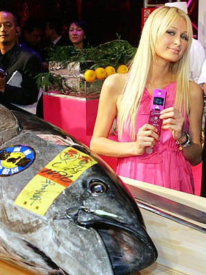 CATCH OF THE DAY photo | Paris Hilton