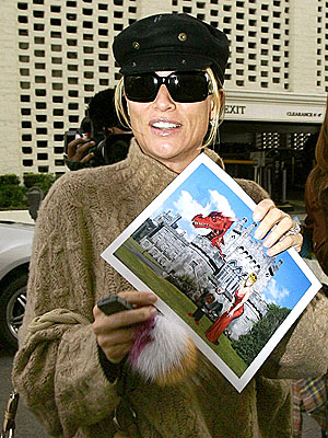 A HOUSEWIFE CAN DREAM photo | Nicollette Sheridan