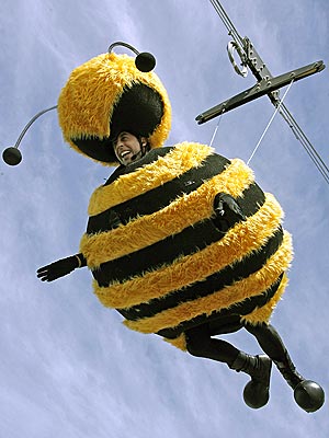 Jerry Seinfeld. Star Tracks, Jerry Seinfeld