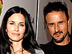 Star Tracks - Friday, June 22, 2007 | Courteney Cox Arquette