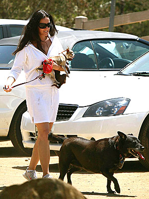DOGGIE DUTY photo | Demi Moore