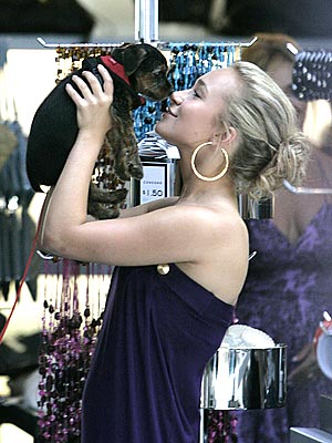PET FANCY photo | Hayden Panettiere
