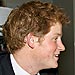 Prince Harry