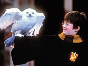 Daniel Radcliffe