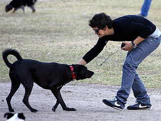 Orlando Bloom's Quality Time with His Dog in L.A. | Orlando Bloom