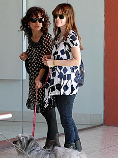 Rachel Bilson Goes Dog Walking in Hollywood | Rachel Bilson