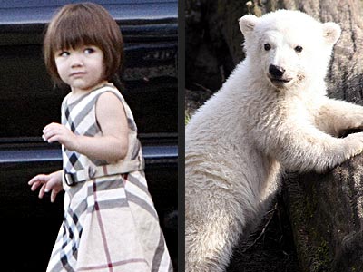  photo | Suri Cruise