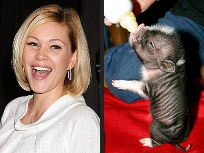  photo | Shanna Moakler