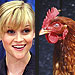 10 Best Celeb Quotes This Week | Jake Gyllenhaal, Reese Witherspoon