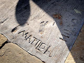Heath and Matilda Leave Footprints in Brooklyn | Heath Ledger