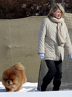 Martha Stewart's Dog Killed in Explosion | Martha Stewart