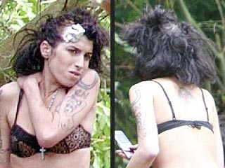 Wacky Celebrity Hair Amy Winehouse Perfects Her Image All The