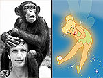 Tinkerbell Beats Out Tarzan's Chimp for Hollywood Star
