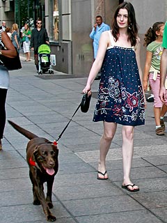 Anne Hathaway and Her Ex: Who'll Get the Dog? | Anne Hathaway
